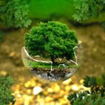 Tree in a cracked glass globe