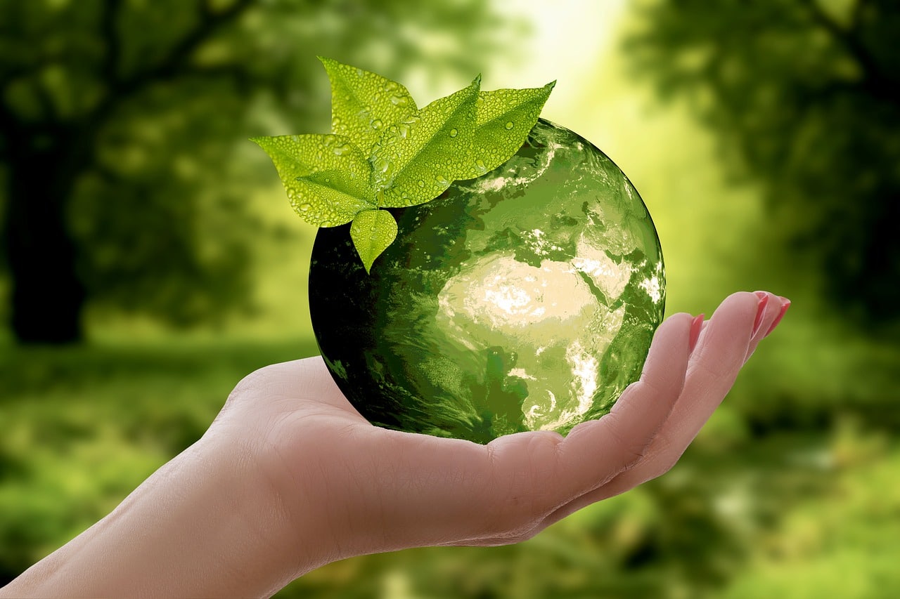 Hand holding a green world globe