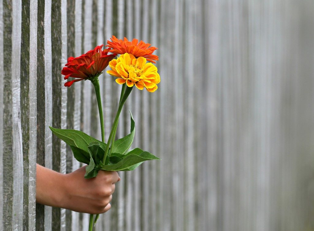 person holding flowers through a gate spreading love