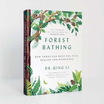15 Benefits of Forest Bathing (& 12 Simple Steps To Try It)