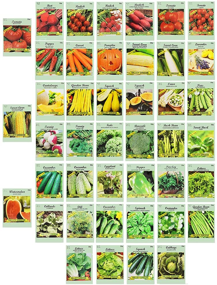 Set of 43 Assorted Vegetable & Herb Seeds - 43 Varieties - Create a Deluxe Garden All Seeds are Heirloom - 100% Non-GMO