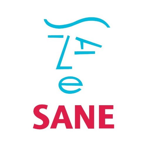 Saneline Logo