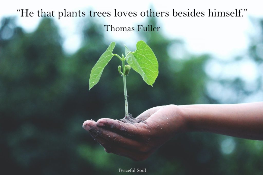 man holding a sapling - “He that plants trees loves others besides himself.” Thomas Fuller - Love for the environment quotes - quotes about love